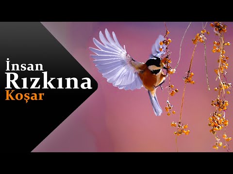 RIZIK ZATEN SENİ BULUR | 2.BÖLÜM