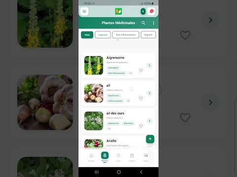 Plantcinales - Phytothérapie video thumbnail