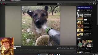 Download lagu youtube videos mp3 Download lagu youtube videos mp3