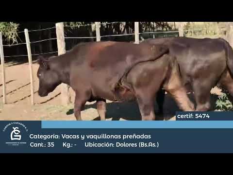 Lote Vc CGP - Dolores Bs As