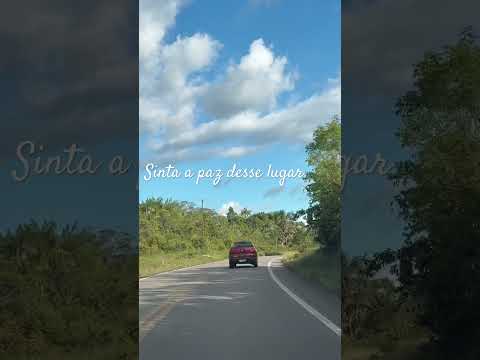 Tranquila estrada de Balbina / presidente Figueiredo (Manaus -AM )