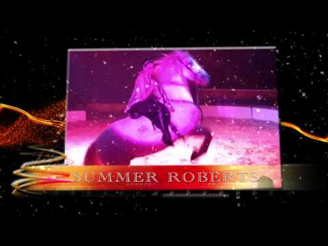 Bonner Weihnachtscircus 2013 TV-Spot