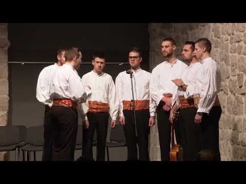 Klapa Kaše - Evo ti kitu vraćam