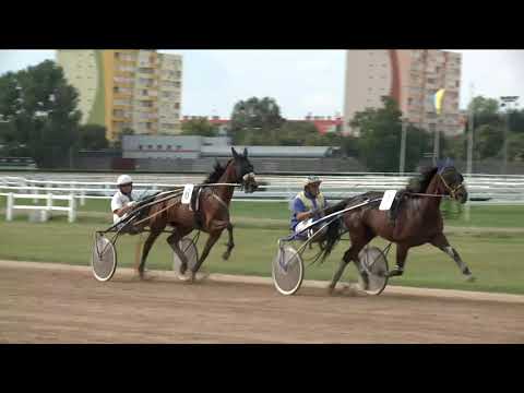 2019.08.03. 06. futam - KANCA DÍJ