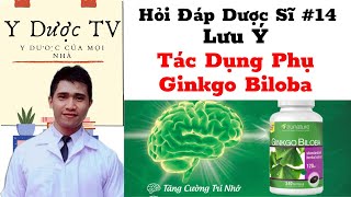 Chống chỉ định ginkgo biloba | Thuốc bổ não ginkgo biloba | Hỏi Đáp Dược Sĩ Video 14 | Y Dược TV