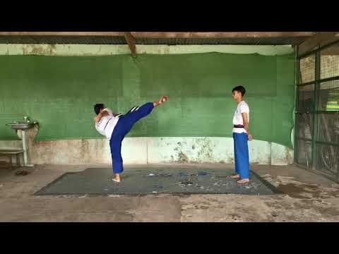 Bando Level-4(Green Stripe-Yellow Belt) Drill-03(Bando Multi-Defense Form-2, Kick Defense Form)