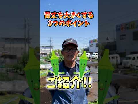 木材残渣を使用した菜園用マルチ 2022