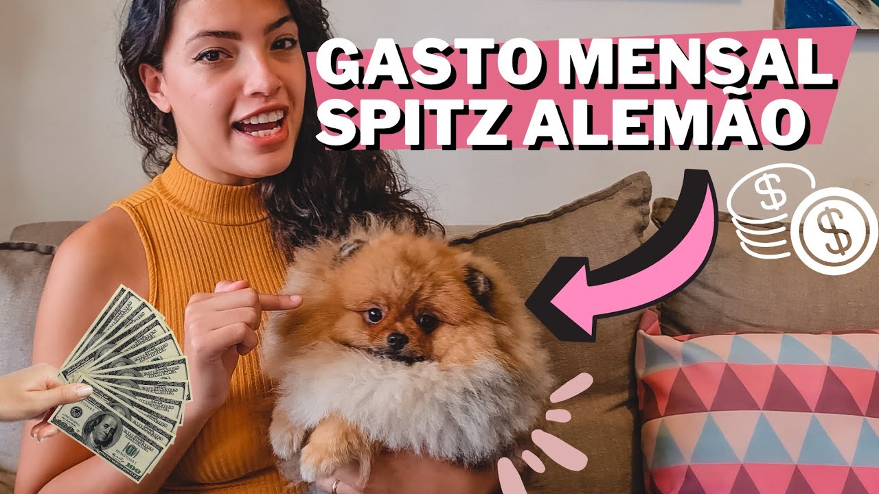 🤑🐶GASTOS MENSAIS DE UM SPITZ ALEMÃO/LULU DA POMERANIA