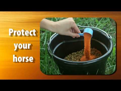 Summer Games Electrolyte for Horses (5 lb) Video