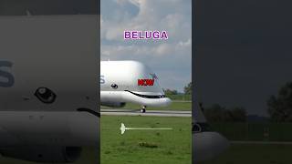 Download lagu Spirit BEEFS With Beluga Over Priority ๐ค mp3 Download lagu Spirit BEEFS With Beluga Over Priority ๐ค mp3