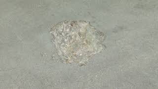 About Rust-Oleum Industrial Floor Coatings