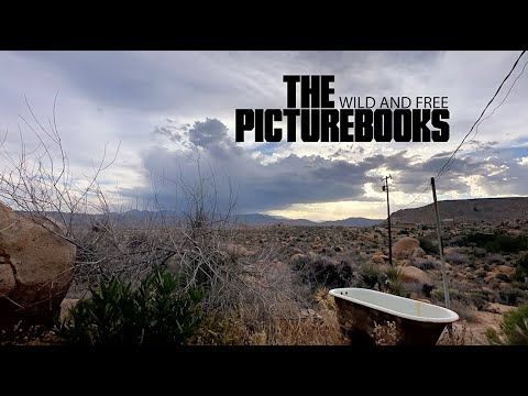 THE PICTUREBOOKS "Wild And Free"-Official Music Video