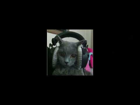 Mata - PATOPROHIBICJA ( Speed up )