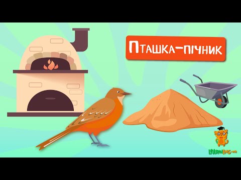 🍀 Дива природи. Явища навколо нас. Рудий пічник — пташка-будівельник 🌏