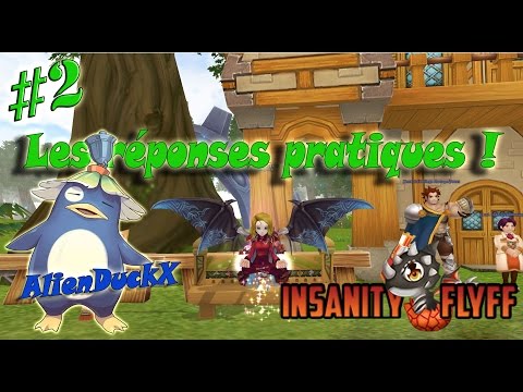 Insanity FLYFF - FR#II Les réponses pratiques !