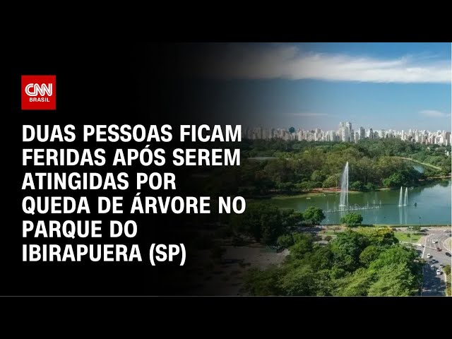 SP: Árvore cai no Parque no Ibirapuera e deixa dois feridos | CNN 360°
