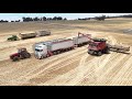 W A Wheatbelt Harvest 2025