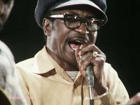 Thumbnail for Sonny Blake - 'Bring It On Home' live 1976 by Joe Willie Wilkins