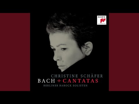 Ich habe genug, BWV 82: III. Aria: Schlummert ein, ihr matten Augen