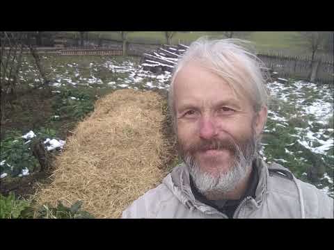 Potravinová soběstačnost - snadné "uskladnění" mrkve na zimu za 10 minut a používá inflaci příroda?