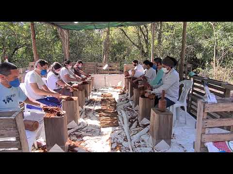 Feitio do Santo Daime - Bateção - 2021