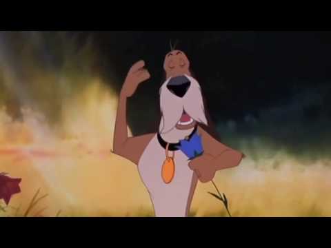 The Fearless Four-Never Been Better