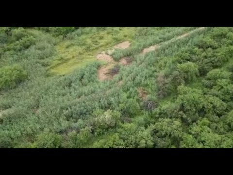 Aumenta la preocupación en Pozo Hondo por avance del río Pilcomayo
