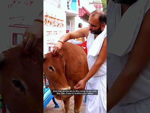 About Krishnayan Video Thumbnail