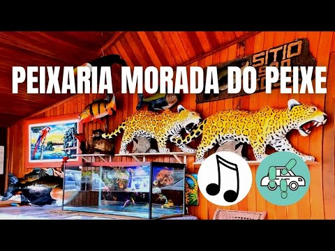 TAMBAQUI NA BRASA NA PEIXARIA MORADA DO PEIXE | RODANDO POR MANAUS