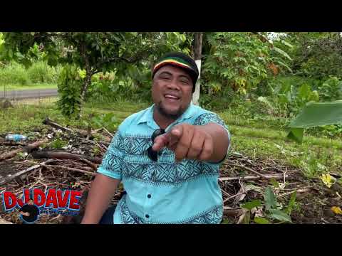 Dj Dave ShortyKap   Alu Loa ft  Robyn Akari Remix