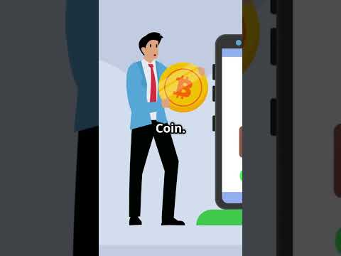 The Rise and Fall of Meme Coins: Lessons Learned