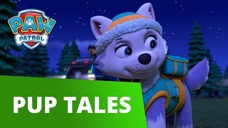 PAW Patrol | Pups Save a City Kitty | Rescue Episode | PAW Patrol Official &amp; Friends!
