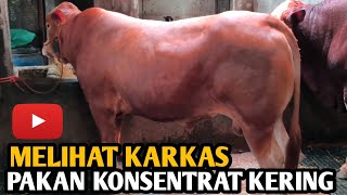 Download lagu Viewing the Dry Cattle Feed Carcass mp3