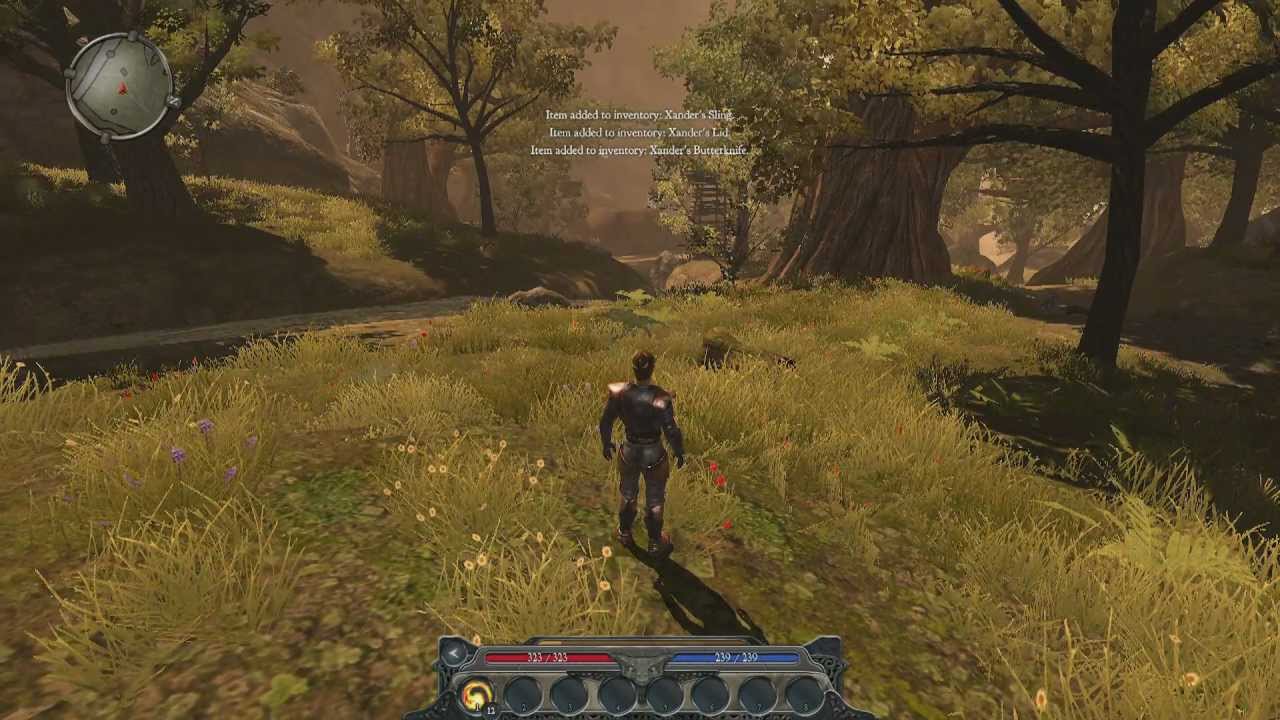 Вы можете купить все ролевые игры Larian, созданные до Baldur's Gate 3, за 2 Divinity II Developer's Cut - YouTube