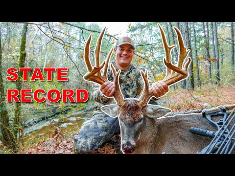 Deer Tags Alabama