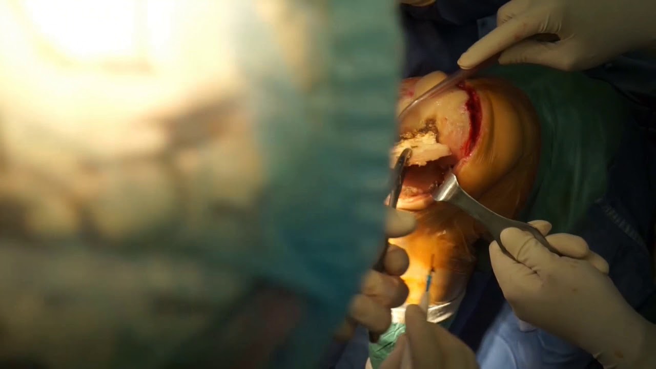 Roberto Postacchini-5