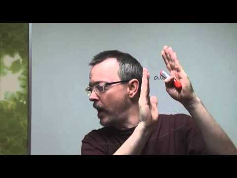 Daily Easy English Expression 0027 -- 3 Minute English Lesson: To look away