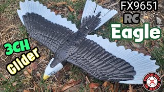 RC Eagle 3CH Glider from Ali Express