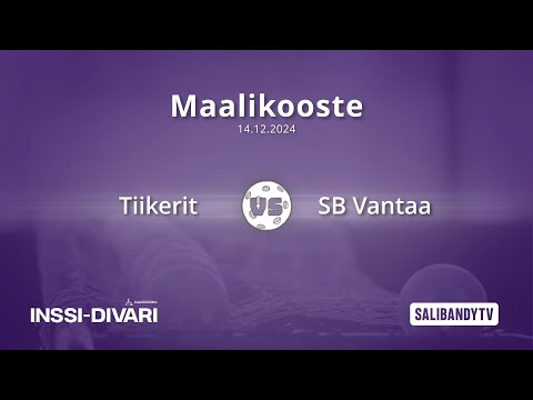 Maalikooste: Tiikerit - SB Vantaa (Inssi-Divari M)