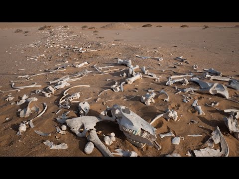 Dry Dry Bones – Sunday Assembly for November 5, 2023