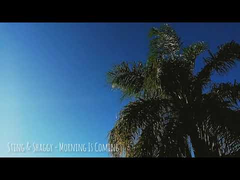 Sting & Shaggy - Morning Is Coming