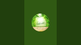 Download lagu Syifa sahil  sedang live Games Ball Run sekarang! #games #gaming #gameplay mp3