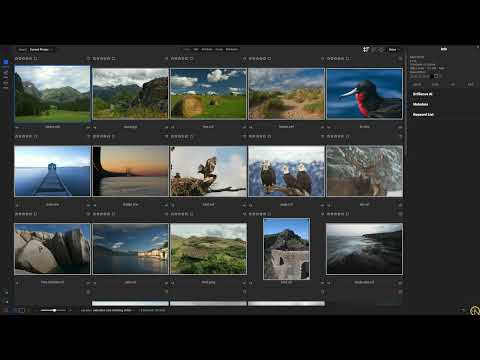 Use Brilliance AI for Batch Processing and Jumpstart Your Workflow