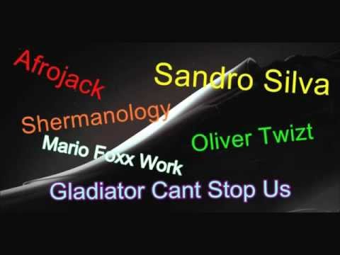 Leon Bolier vs Sandro Silva & Oliver Twizt vs Afrojack vs Shermanology - Gladiator Cant Stop Us