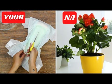 11 TUINtips voor je groene vingers 🍃