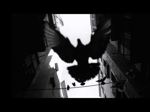 БСА - ЗАР НЕ