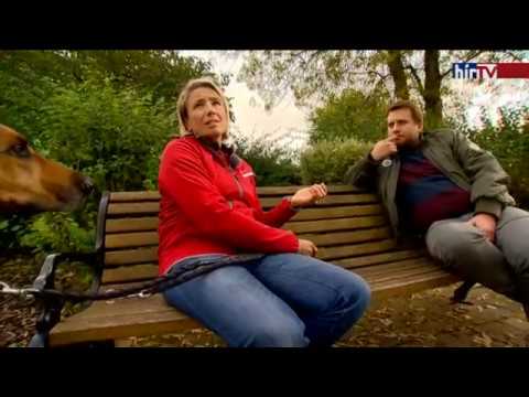 download lagu mp3 mp4 Magyar Elet, download lagu Magyar Elet gratis, unduh video klip Magyar Elet