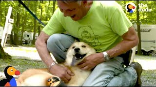 Special Dog Rescued by Man Who Drives Across the Country To Save Him | The Dodo Comeback Kids S01E05