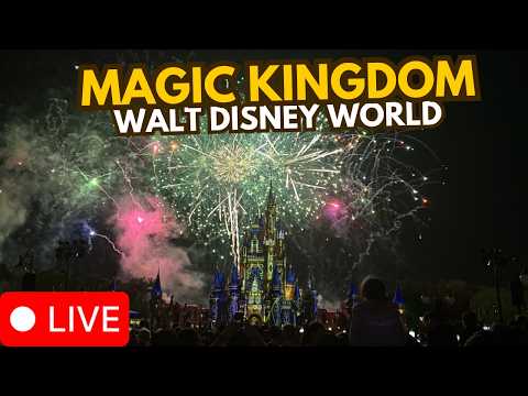 Live webcam of Disney Parks with Love