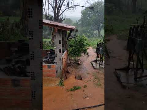 Veja forte chuva na zona rural de carnaubeira da penha Pernambuco.